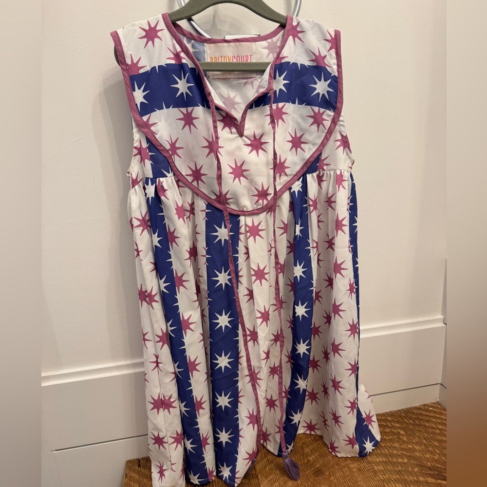 Briton Court Stardust Picnic Dress